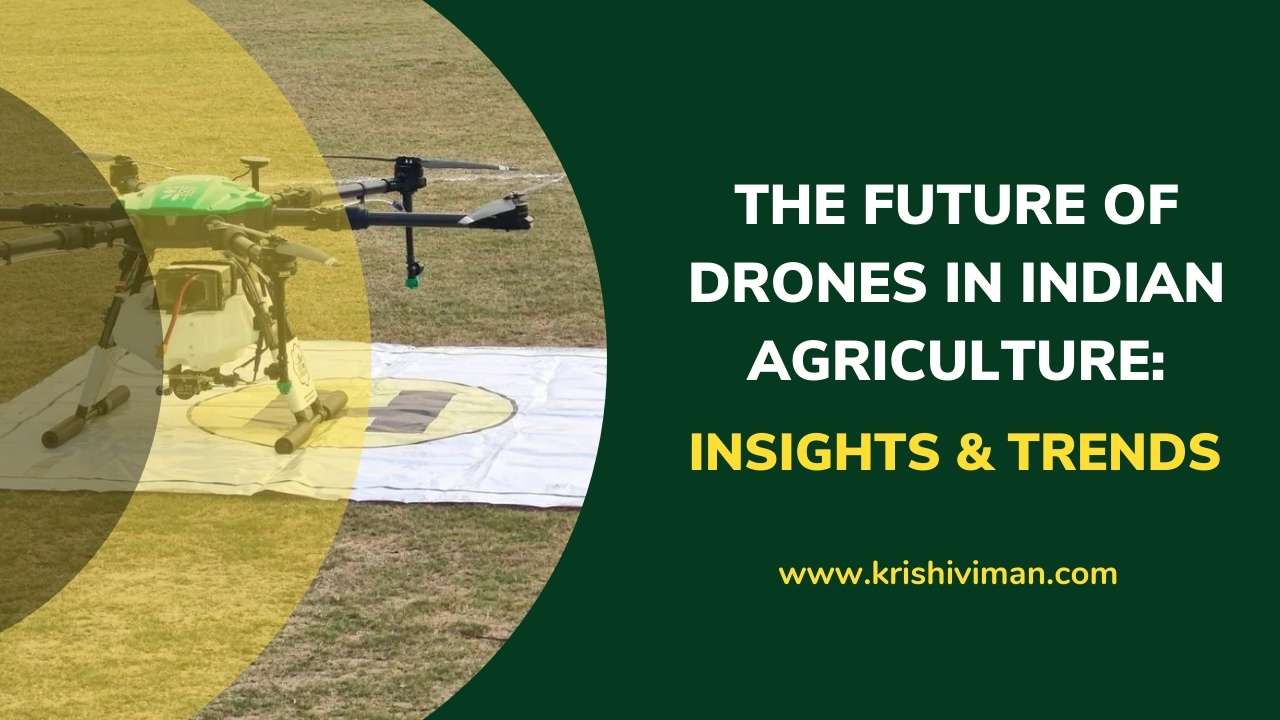 What is the future of drones in Indian agriculture?