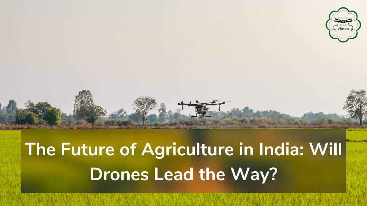 The Future of Agriculture in India: Will Drones Lead the Way?