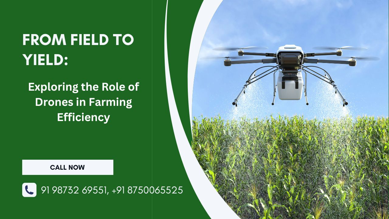  From Field to Yield: Exploring the Role of Drones in Farming Efficiency