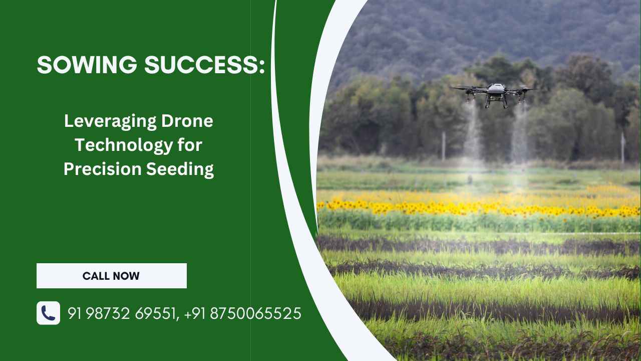 Sowing Success: Leveraging Drone Technology for Precision Seeding