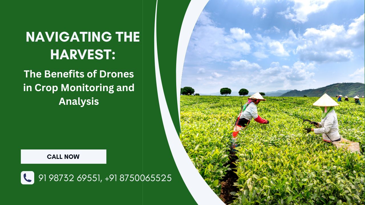 Navigating the Harvest: The Benefits of Drones in Crop Monitoring and Analysis