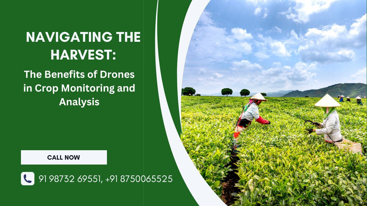  Navigating the Harvest: The Benefits of Drones in Crop Monitoring and Analysis