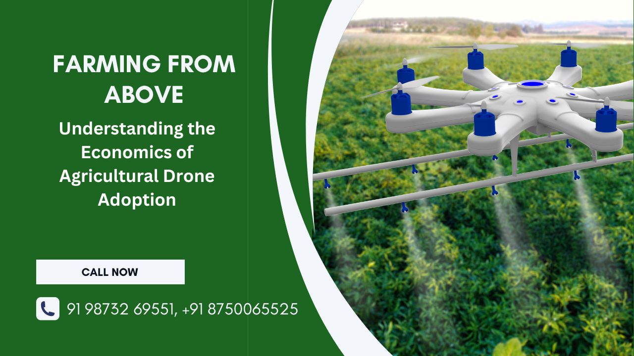 Farming From Above: Understanding the Economics of Agricultural Drone Adoption